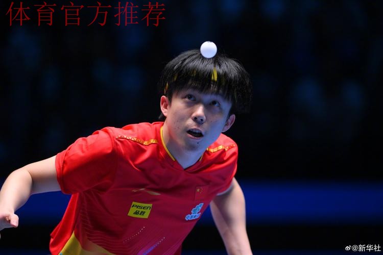 国乒选手无缘男单决赛